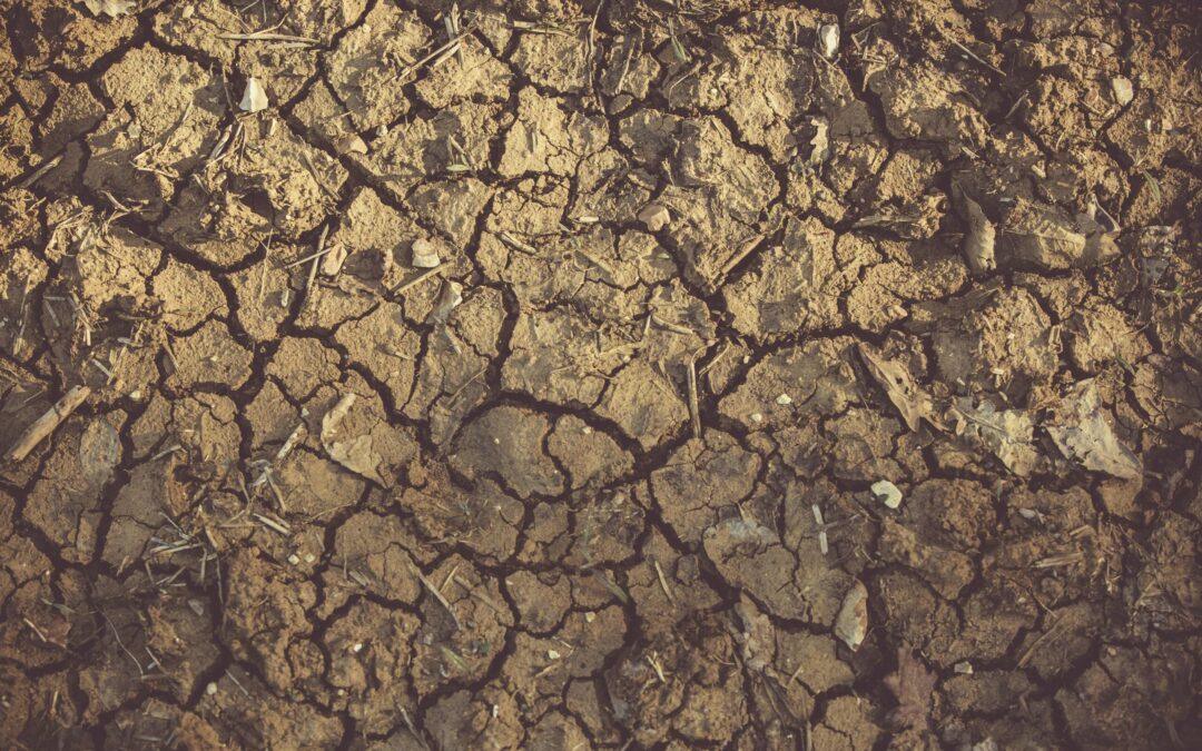 Saving water in severe heat – How Geospatial Analytics can reduce pipeline network failure
