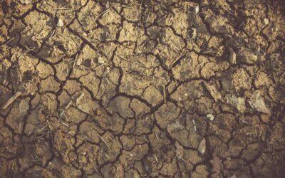 Saving water in severe heat – How Geospatial Analytics can reduce pipeline network failure