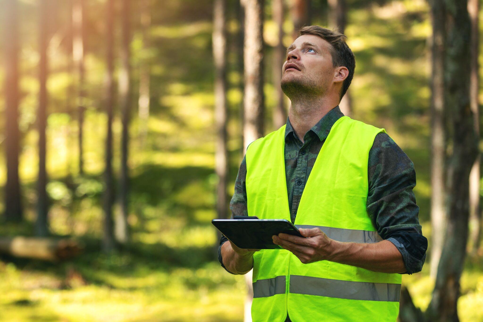 Elegant Geospatial Solutions - Rezatec