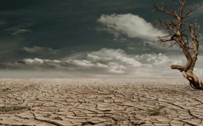 Saving water in severe heat – How Geospatial Analytics can reduce pipeline network failure