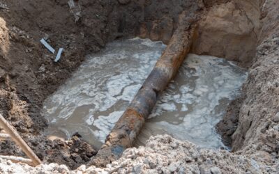 Planning beyond leaks: How LoF modeling tackles water loss